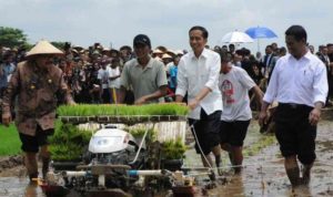 Jokowi Patani 1