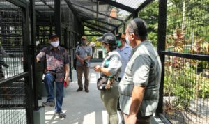 Kebun Binantang Yogyakarta