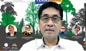 Bincang Hutan Produktif